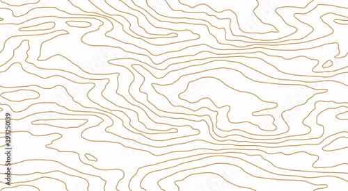 Seamless pattern of dense thin lines, wood grain texture background. Light golden wooden texture. Vector wallpaper