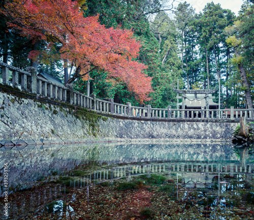 Beppu Benten Pond in Akiyoshidai, Mine City, Yamaguchi Prefecture photo