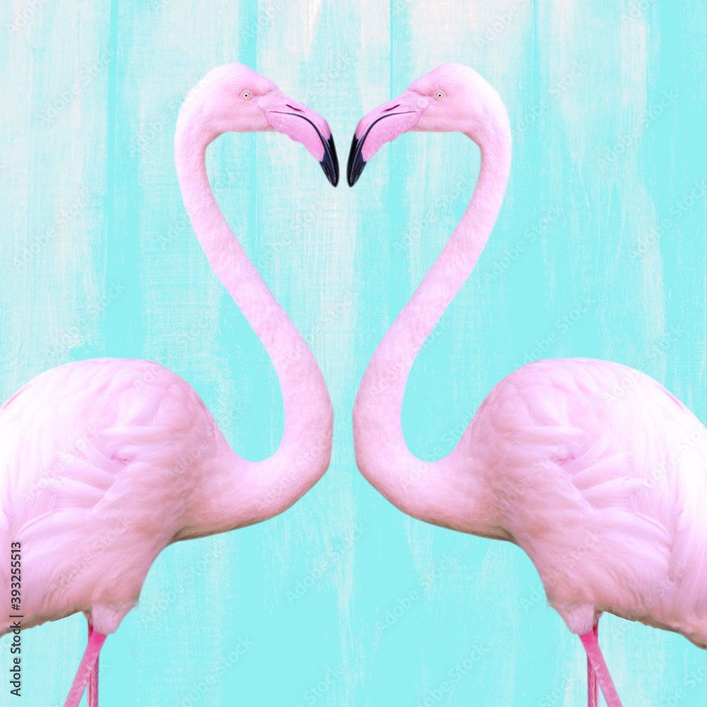 Naklejka premium Two pink Flamengo looking at each other formation heart shape