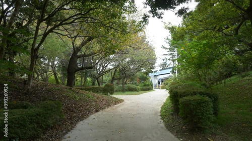 夢の島緑道公園　並木道
 photo