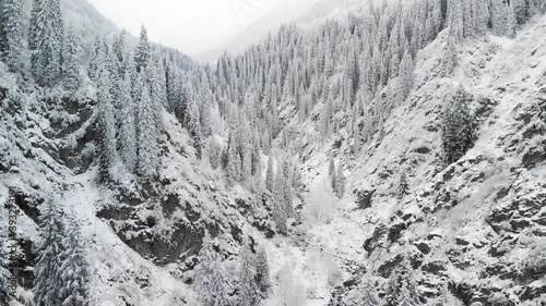 River in the winter snow forest in the mountains photo