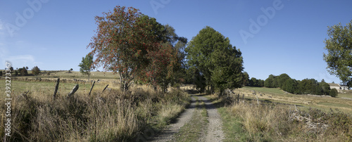 Sur le chemin de Compostelle, la traversée sur le chemin de la via Podiensis, les paysages du parc Régional de l'Aubrac dans le Massif Central. photo