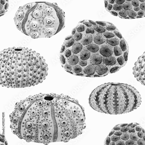 Beautiful seamless underwater pattern with watercolor sea urchin. Stock illustration.