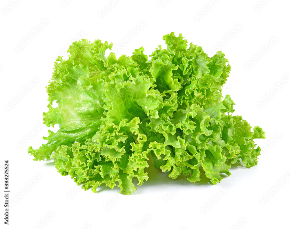 Salad leaf. Lettuce isolated on white background. Salad leaf. Lettuce isolated on white background.