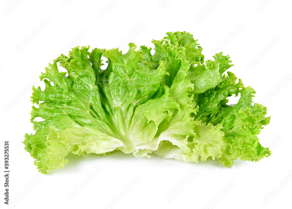 Salad leaf. Lettuce isolated on white background. Salad leaf. Lettuce isolated on white background.