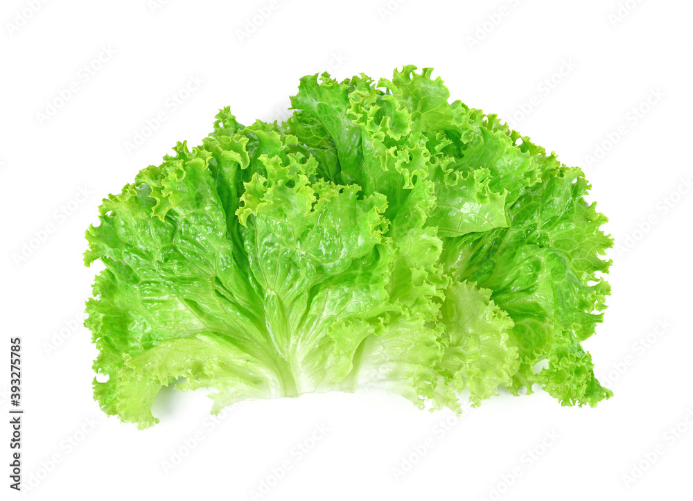 Salad leaf. Lettuce isolated on white background. Top view