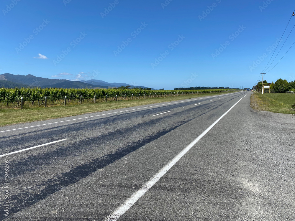 Roadside vineyards in the Marlborough, New Zealand