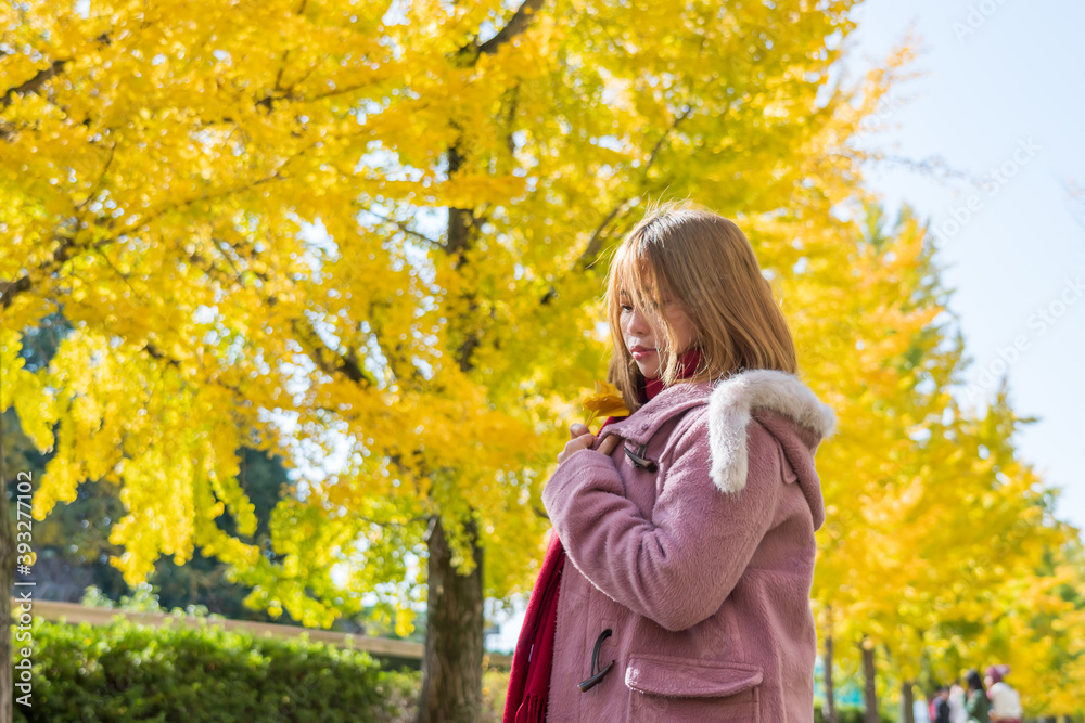 イチョウ並木にいる若い女性 イチョウ並木にいる若い女性