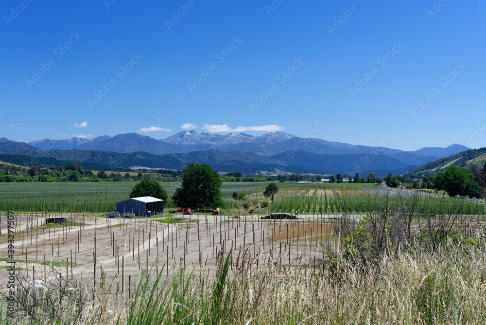 Scenic views over vineyards and mountains in the Motueka Valley, Tasman District, New Zealand