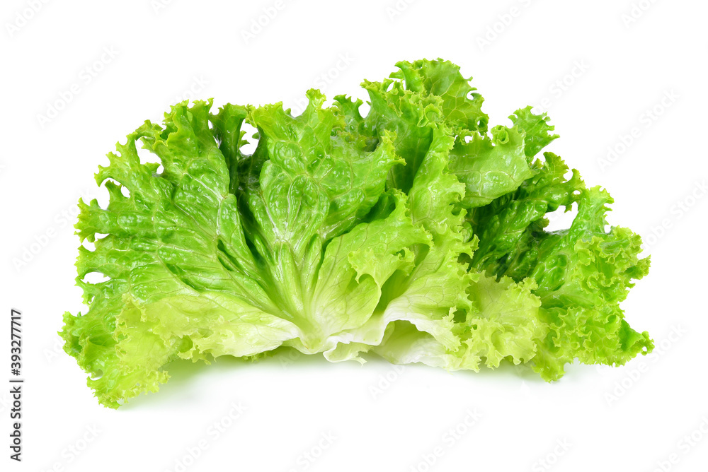 Salad leaf. Lettuce isolated on white background Salad leaf. Lettuce isolated on white background