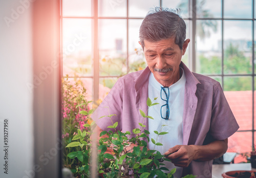 Happy Asian retirement senior is spraying water on plants and flower pot for hobby at home. photo