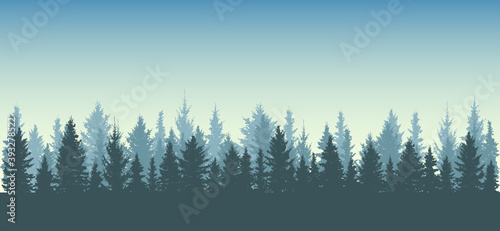 Forest background, nature, landscape. Silhouettes of spruce trees.All fir trees are separated from each other. Vector illustration