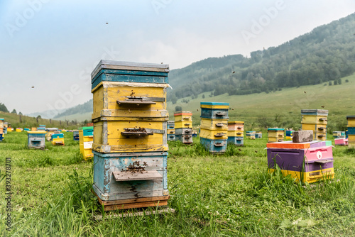 Bee hive on a high mountain valley in the Altai Mountains