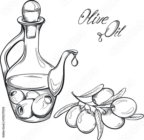Hand drawn Olive oil and branch. Black and white vector illustration