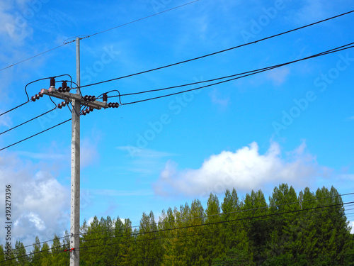 electric pole and lines in urban with top tree and blue sky with clouds