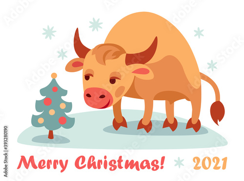 Funny cute bull stands in snow and looks at decorated Christmas tree, around snowflakes and text Merry Christmas! 2021.