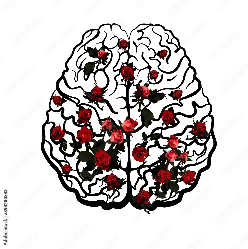 Human brain neocortex scheme top view with pink roses Stock Vector ...
