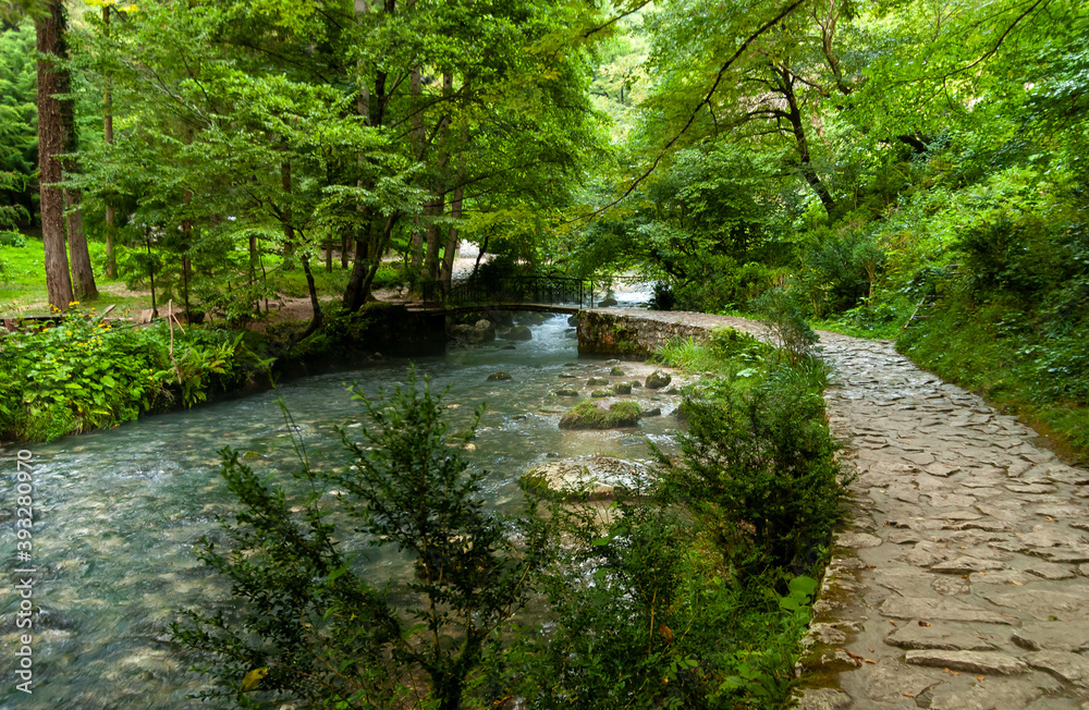 The path in the gorge of the river Psyrdzkha, across the bridge, leads to the cell (grotto) and the place of execution of the holy Apostle Simon the Conanite. New Athos, Abkhazia. The path in the gorge of the river Psyrdzkha, across the bridge, leads to the cell (grotto) and the place of execution of the holy Apostle Simon the Conanite. New Athos, Abkhazia.