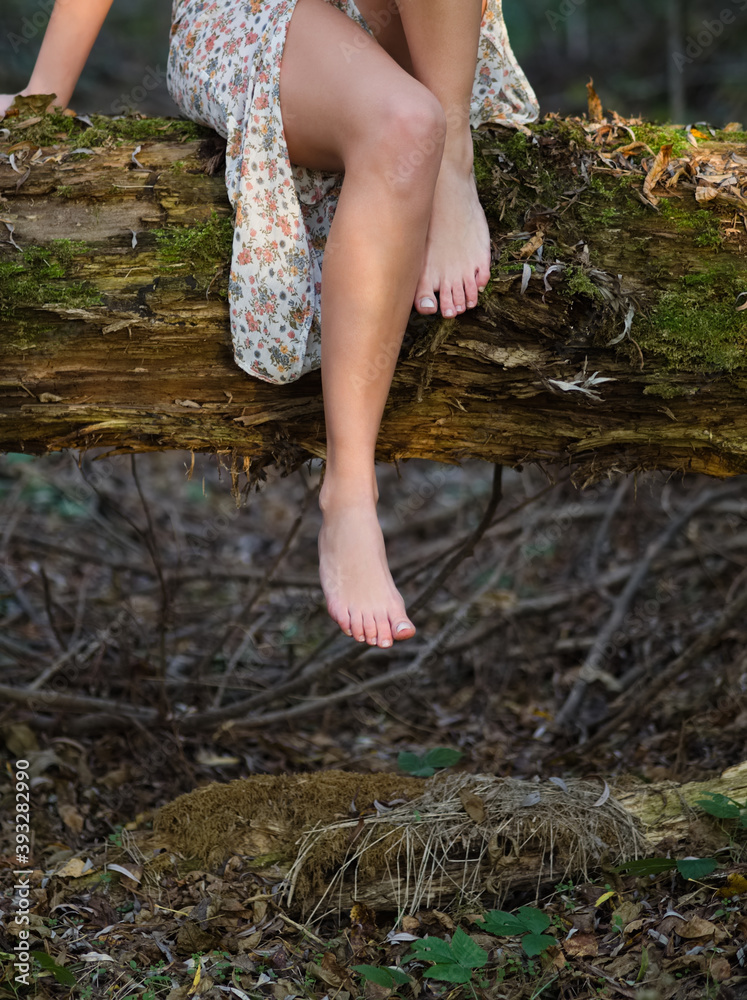 Woman Sitting on a Tree in the Forest Closeup Woman Sitting on a Tree in the Forest Closeup