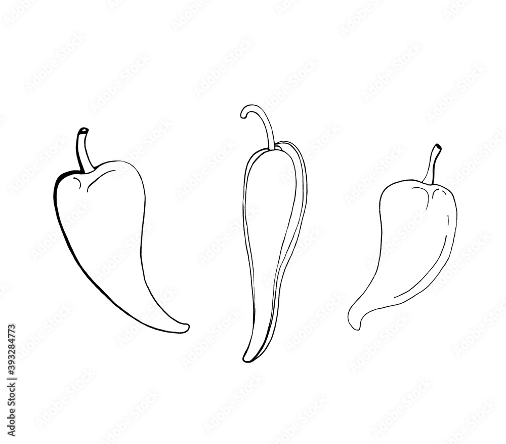 Set of peppers, continuous linear chili pattern, healthy organic hot pepper concept of fresh chili pepper for vegetable icon. Modern design of a single line drawing graphic illustration Set of peppers, continuous linear chili pattern, healthy organic hot pepper concept of fresh chili pepper for vegetable icon. Modern design of a single line drawing graphic illustration