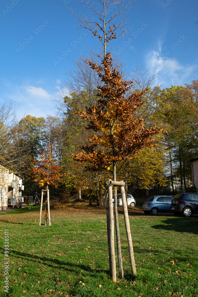Herbstland