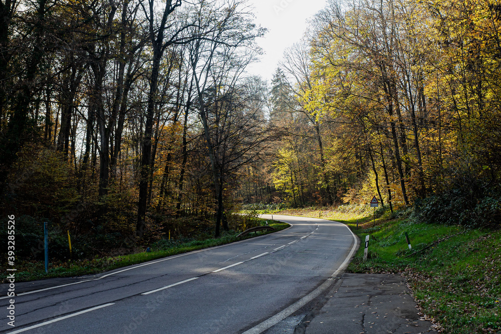 Fototapeta premium Strasse am Walkd