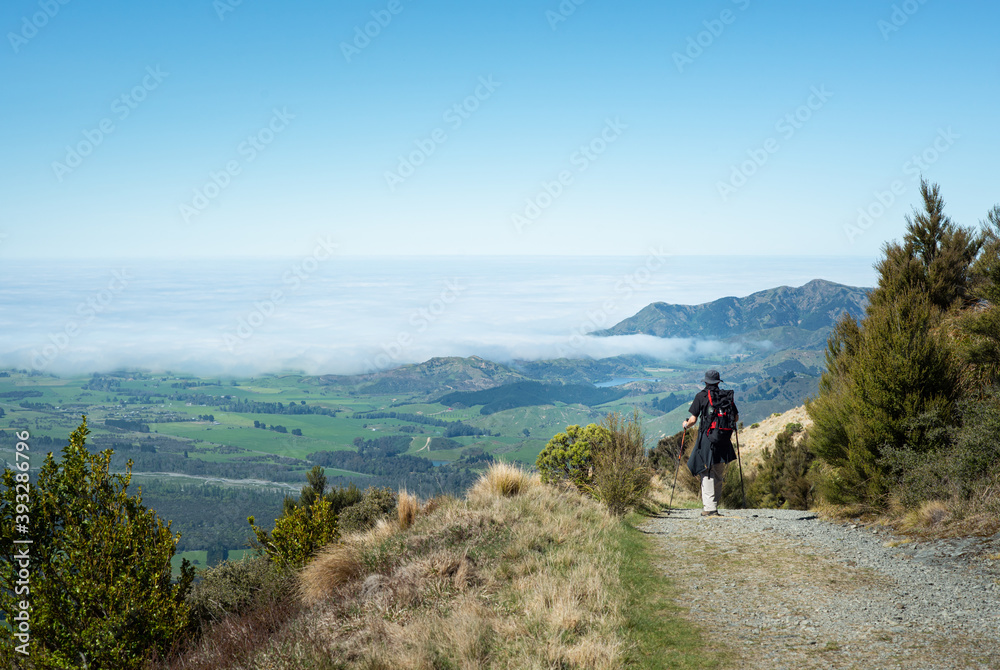 Hiking Mt Fyffe track with the views of cloud covered Kaikoura peninsula, South Island, New Zealand