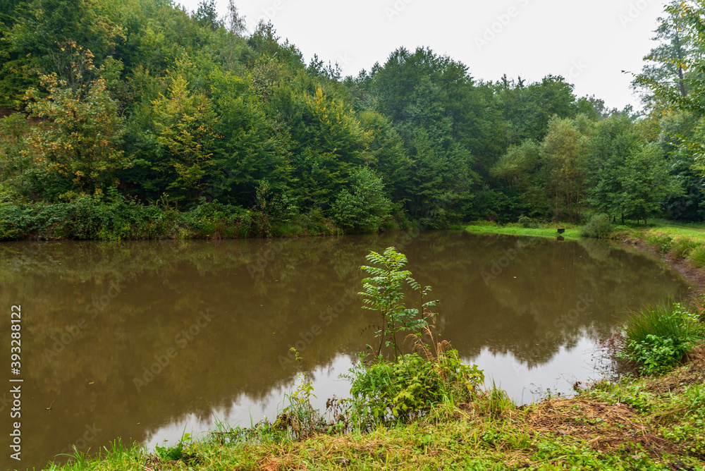 Pond with forest around neat Bitov village in Czech republic Pond with forest around neat Bitov village in Czech republic