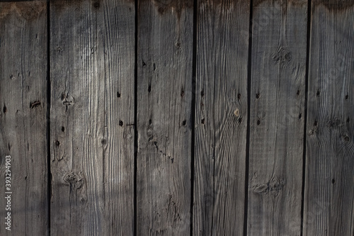 Grey shabby wooden wall surface texture with nails