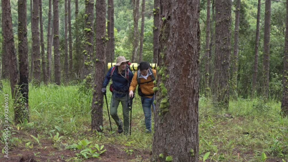 4K Two handsome Asian man friends hiker hiking together in pine forest. Male backpacker with backpack walking on mountain trail. Healthy outdoor lifestyle, friendship and holiday vacation concept. 4K Two handsome Asian man friends hiker hiking together in pine forest. Male backpacker with backpack walking on mountain trail. Healthy outdoor lifestyle, friendship and holiday vacation concept.