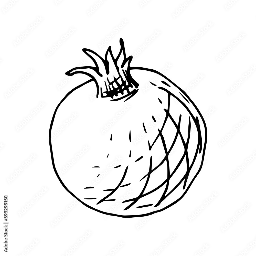 Simple hand-drawn vector drawing in black outline. Pomegranate is isolated on a white background, healthy fruits, vitamin, juice. For label prints, packaging design, recipe. Simple hand-drawn vector drawing in black outline. Pomegranate is isolated on a white background, healthy fruits, vitamin, juice. For label prints, packaging design, recipe.