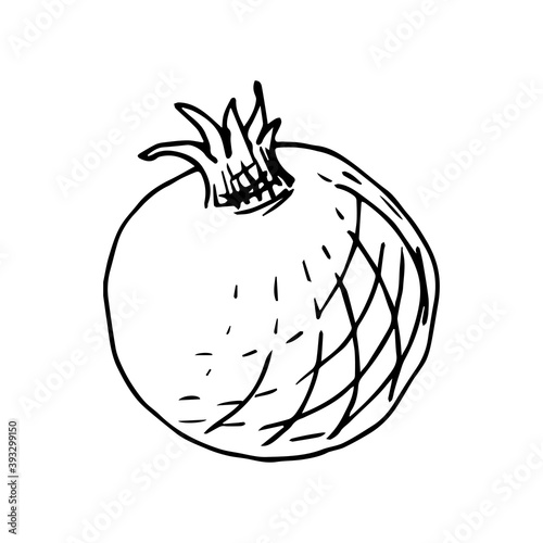 Simple hand-drawn vector drawing in black outline. Pomegranate is isolated on a white background, healthy fruits, vitamin, juice. For label prints, packaging design, recipe.