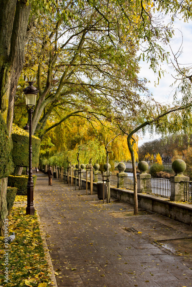 Paseo del Espolon in Burgos next to the Arlanzón river with a man in the background during autumn