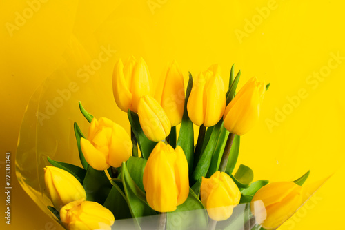 Fototapeta Naklejka Na Ścianę i Meble -  Bouquet of beautiful yellow tulips