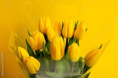Fototapeta Naklejka Na Ścianę i Meble -  Beautiful yellow tulips isolated on background. Bouquet of fresh tulips.