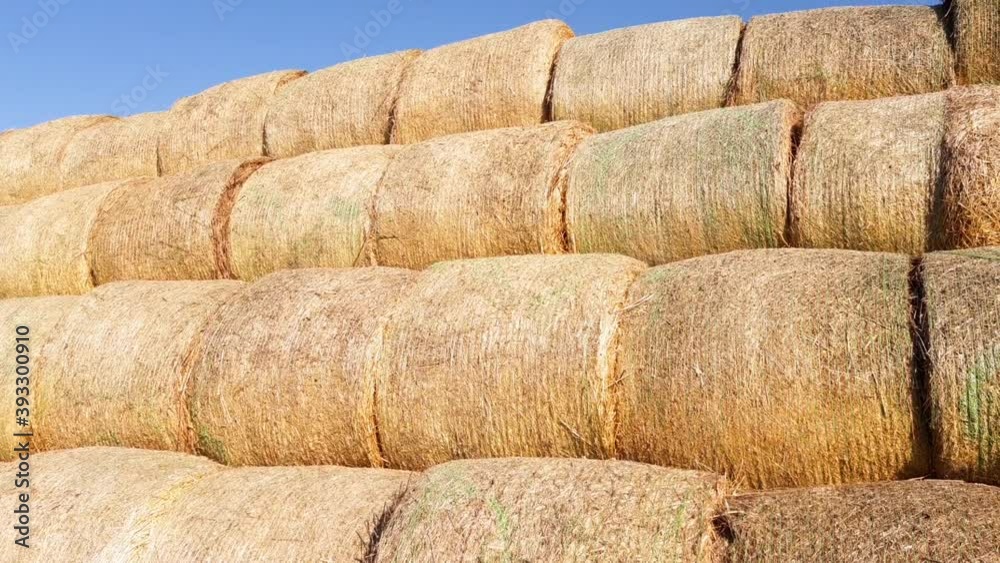 Huge pile with bales of straw. Agriculture. Huge pile with bales of straw. Agriculture.