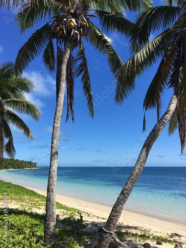 Tropical beach scene