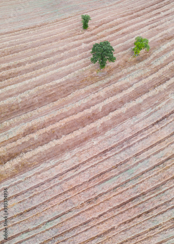 Aerial view, Agricultural landscape, Hornillastra, Merindad de Sotoscueva, Burgos, Castilla y Leon, Spain, Europe