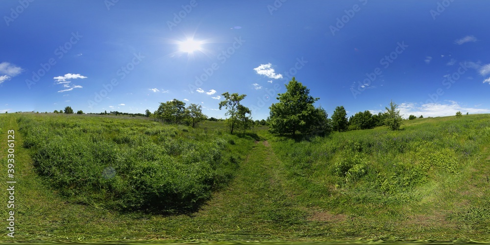 Spring Countryside Green HDRI Panorama