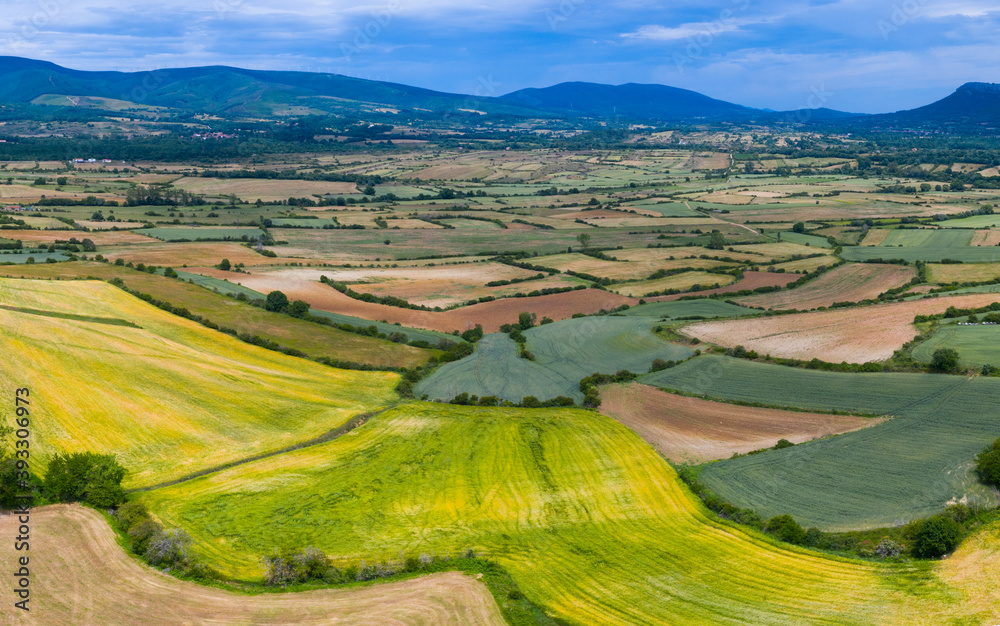 Agricultural landscape, Cuestahedo, Merindad de Montija, Burgos, Castilla y Leon, Spain, Europe