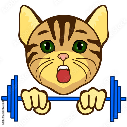 Emoticon with a cool cat weightlifter that raises the barbell, color vector clip art on white isolated background