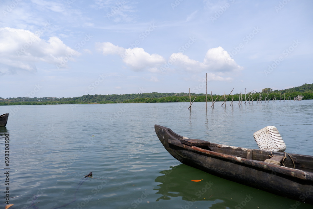 Obraz premium BACKWATERS