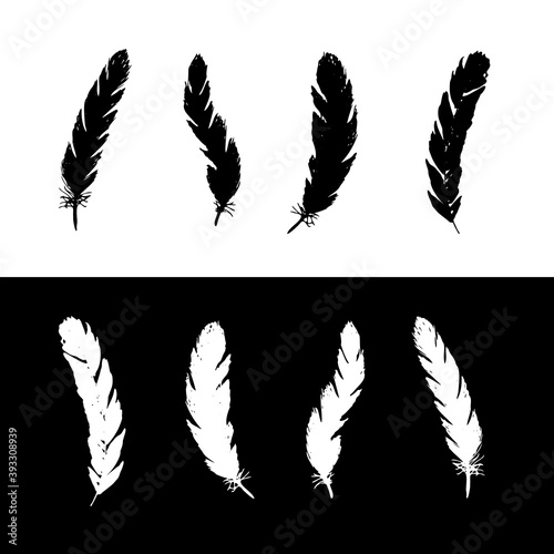 A set of Black and white feathers.