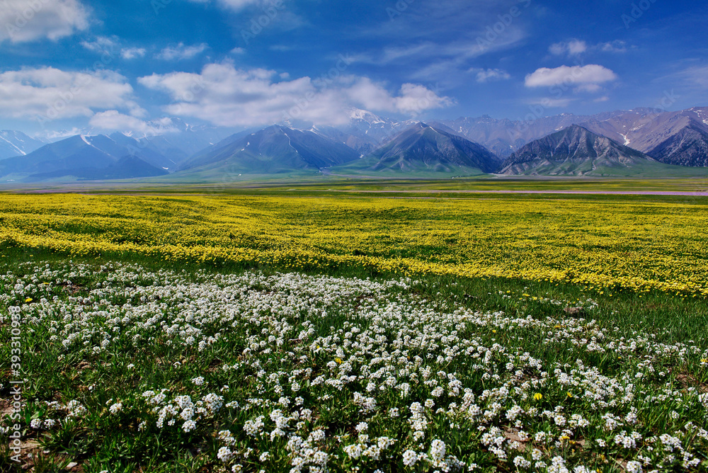中国新疆赛里木湖