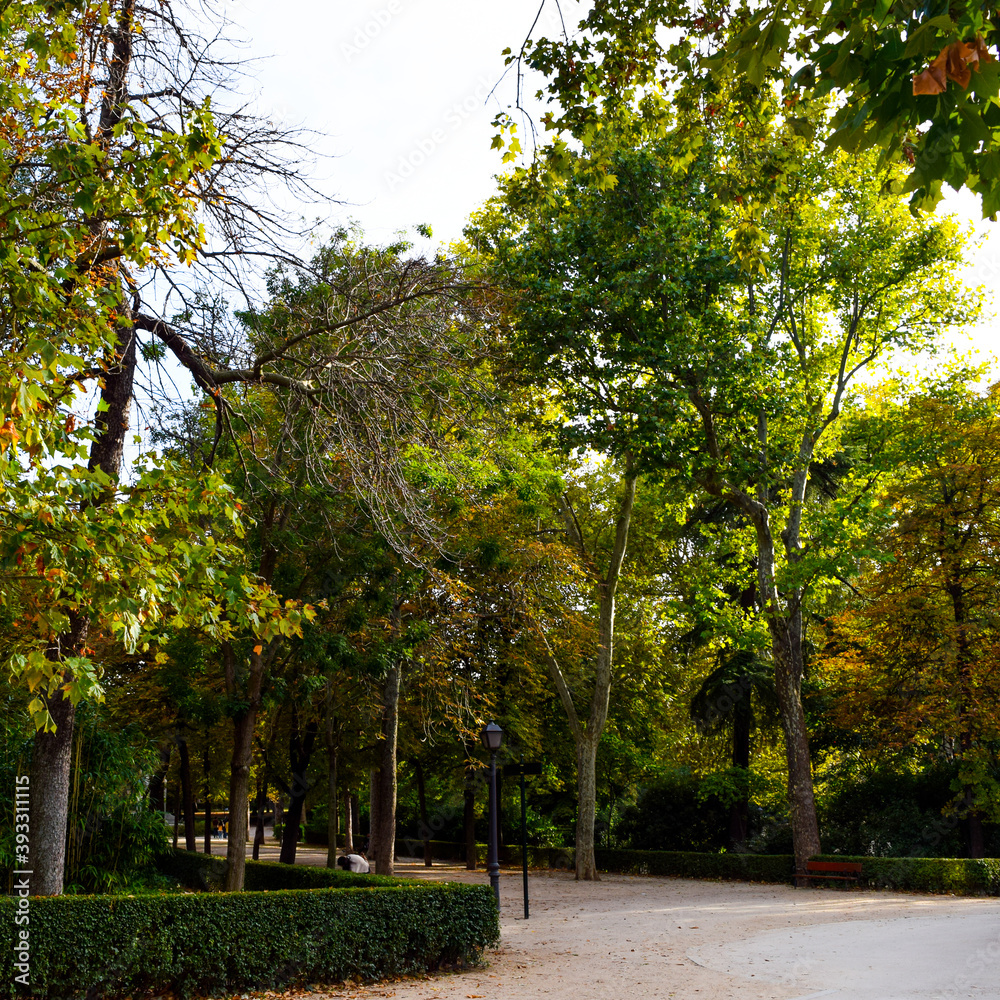 Naklejka premium Autumn in Retiro Park of Madrid