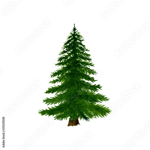 Watercolor pine tree or fir in illustration. Design element for greet card, logo, banner ets.