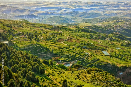 rice terraces in island