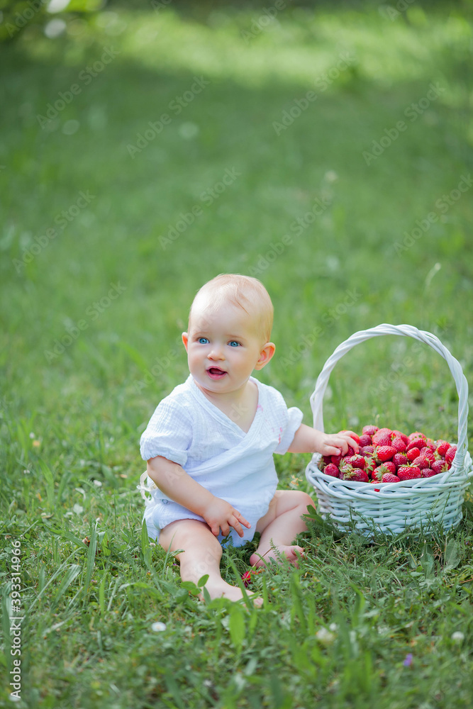 little cute girl eating strawberries from a basket outdoors little cute girl eating strawberries from a basket outdoors
