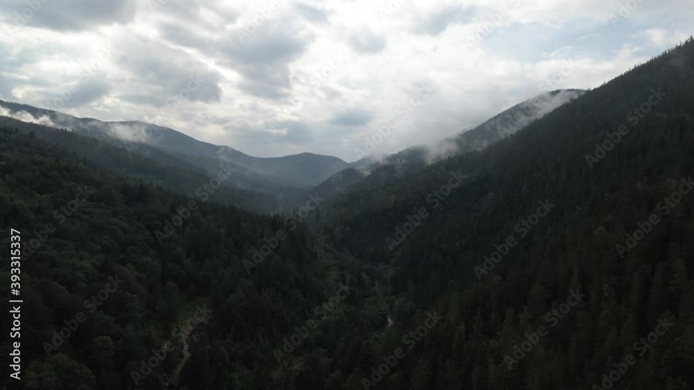 Sinking down into valley covered by pineforest and wilderness with hills in the distance and a cloudy sky overhead Sinking down into valley covered by pineforest and wilderness with hills in the distance and a cloudy sky overhead