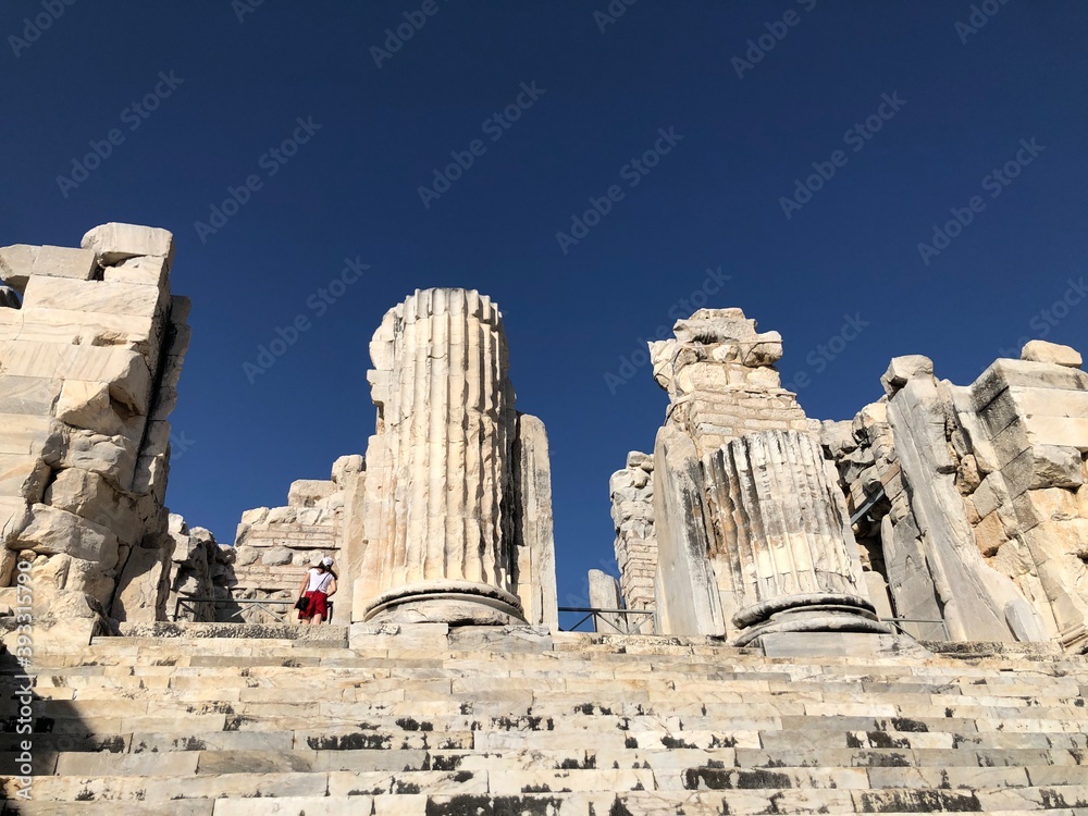 Temple of Apollo in Didim